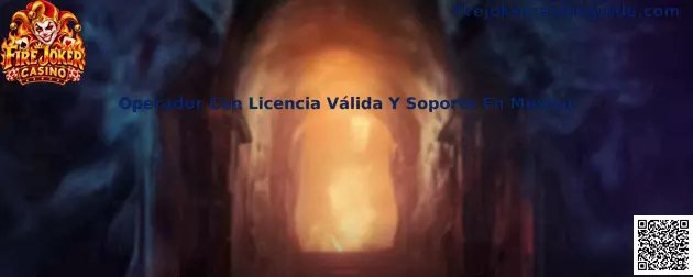Operador con licencia válida y soporte en México